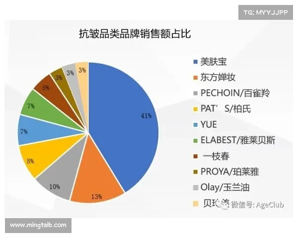 全面解析北美洲杯赛发展历程及竞技格局深度剖析
