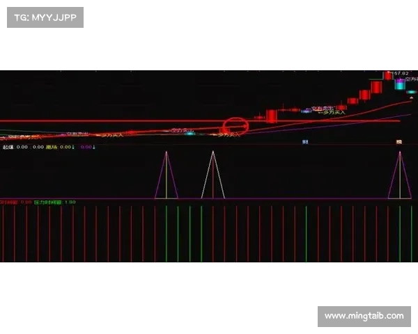 探究评估澳洲杯比赛水平的关键指标与多维方法综合解析全面框架研判 探究评估澳洲杯比赛水平的关键指标与多维方法综合解析全面框架研判