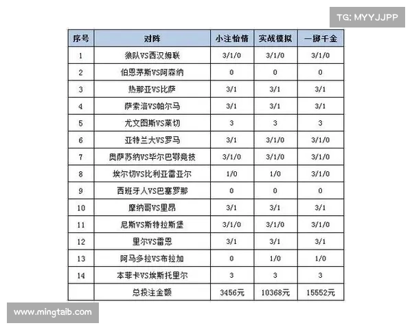 如何通过分析赛况与投注策略在欧洲杯中实现收益最大化