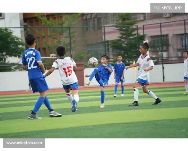 学校体育政策对青少年足球参与度的影响与促进作用研究